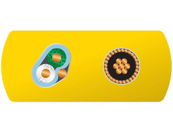 WireWorld Chroma 8 C2AM - cecha 1